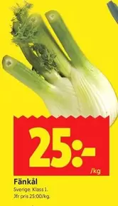 Fänkål