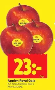 Äpplen Royal Gala