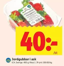 Jordgubbar