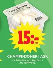 CHAMPINJONER I ASK