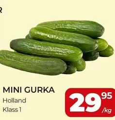 MINI GURKA