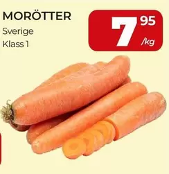 MORÖTTER