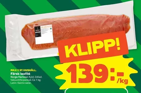 Färsk laxfilé