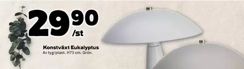 Konstväxt Eukalyptus