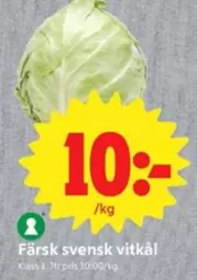 Färsk svensk vitkål