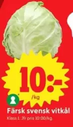 Färsk svensk vitkål