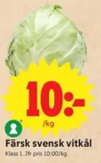 Färsk svensk vitkål