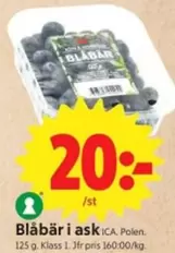 Blåbär i ask