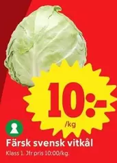 Färsk svensk vitkål