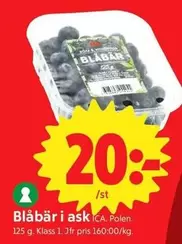 Blåbär i ask