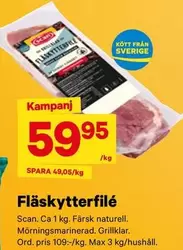 Scan - Fl
kytterfil