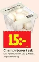 Champinjoner
