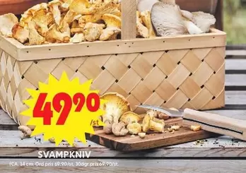 SVAMPKNIV