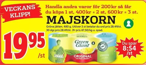 Giant - MAJSKORN