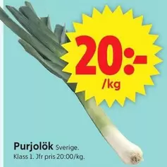 Purjolök