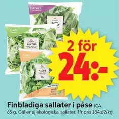 Finbladiga sallater i påse