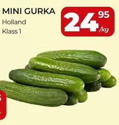 MINI GURKA