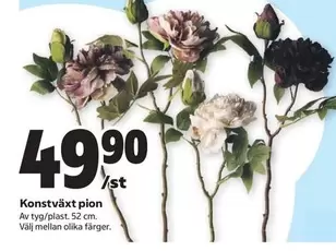 Konstväxt pion