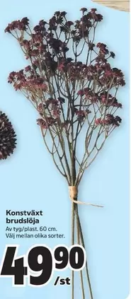 Konstväxt brudslöja