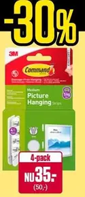 Picture Hanging Strips