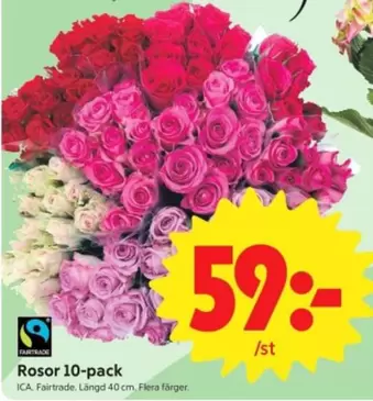 fairtrade - Rosor 10-pack