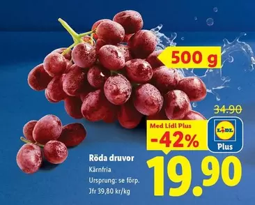 Röda druvor Kärnfria