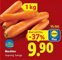 Morötter