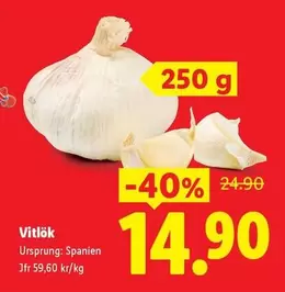 Vitlök