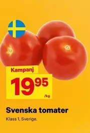 Svenska tomater