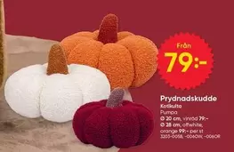 Prydnadskudde Kotikulta Pumpa