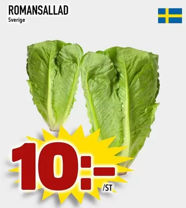 ROMANSALLAD