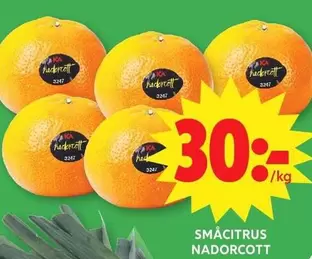 SMÅCITRUS NADORCOTT