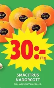 SMÅCITRUS NADORCOTT