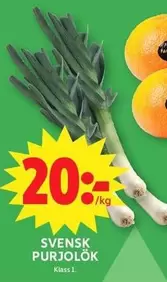SVENSK PURJOLÖK Klass 1