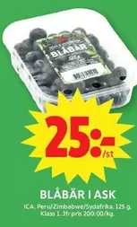 BLÅBÄR I ASK