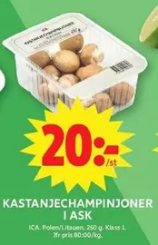 Kastanjechampinjoner