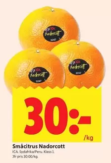 Småcitrus Nadorcott 3047