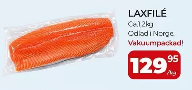 LAXFILÉ