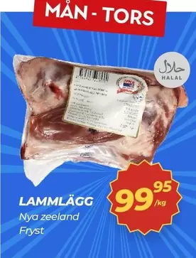 LAMMLÄGG