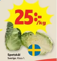 Spetskål