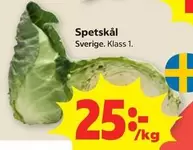 Spetskål