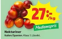 Nektariner