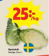 Spetskål