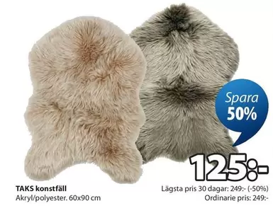 TAKS konstfäll