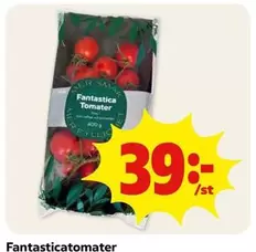 Mer - Fantastica Tomater
