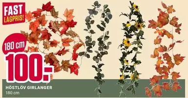 Höstlöv Girlanger
