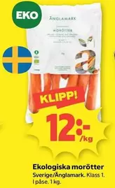 Änglamark - Ekologiska morötter