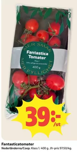 Mer - Fantastica Tomater