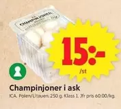 Champinjoner