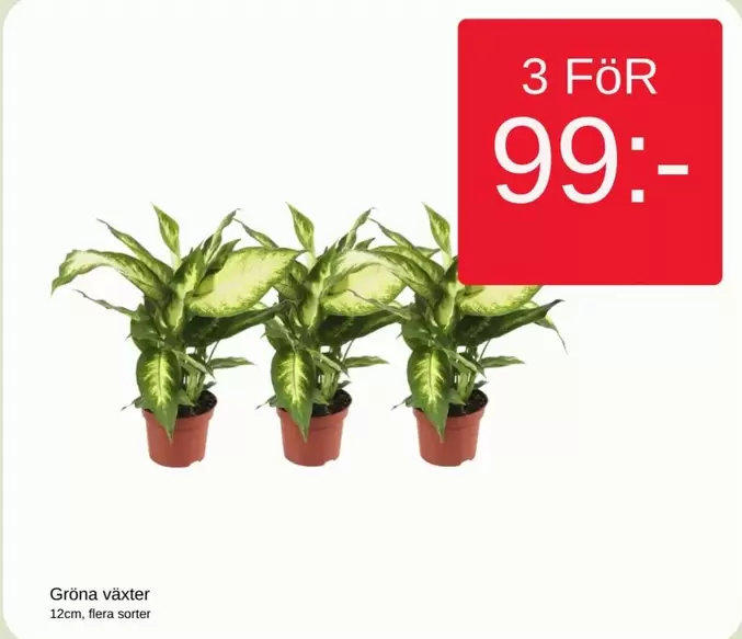 Gröna växter